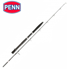 Удилище для ловли сома Penn Legion Cat Silver Belly Pump 175 (200гр)