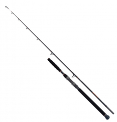 Удилище для ловли сома Shimano Beastmaster Catfish Vertical 185 (200гр)